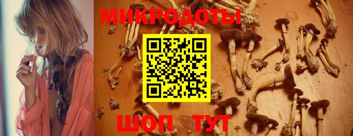 Алатырь  Галлюциногенные грибы MAGIC MUSHROOMS  Вход с VPN 